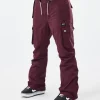 Snowboardhosen<Dope Snow Iconic W Burgundy